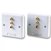 AV CAT5 Wallplate System pair