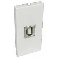 USB Socket Faceplate Module Type B Female Euromod Wall Plate Module